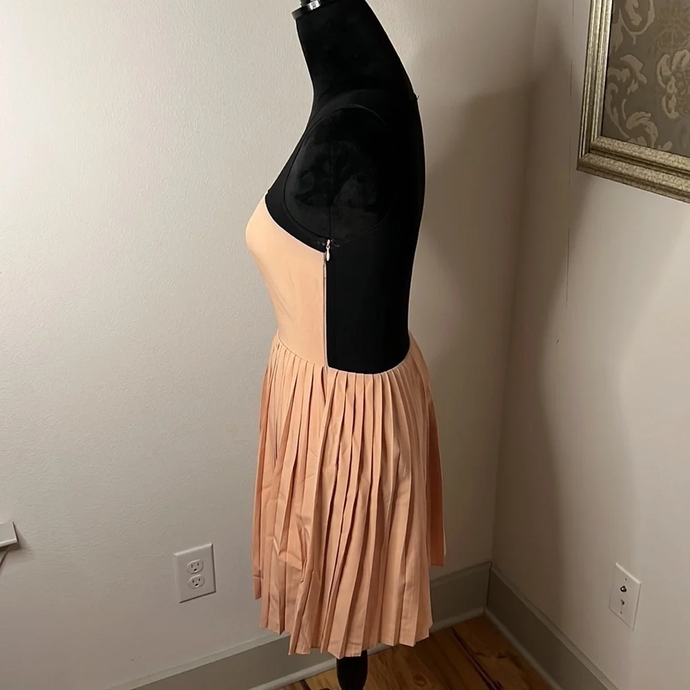 Ark & Co. sz S‎ pleated mini dress black stretch net sheer top